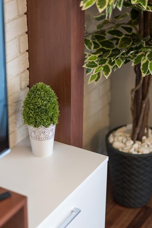 River Boulevards Apartment كراكوفيا المظهر الخارجي الصورة